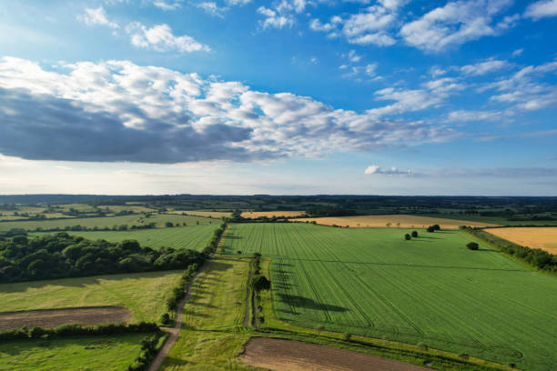istock Aerial View of British Landscape Just During Sunset 1503391934