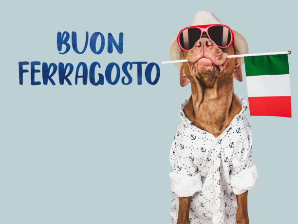 istock Buon Ferragosto. Cute dog and Italian Flag 1503396280