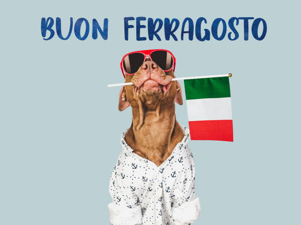 istock Buon Ferragosto. Cute dog and Italian Flag 1503396292