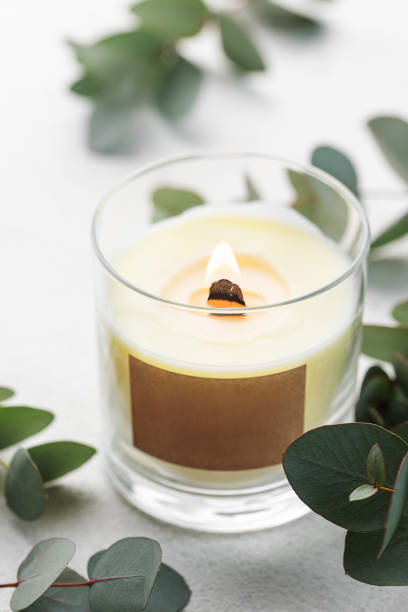 istock Aroma candle and eucalyptus leaves 1503403640