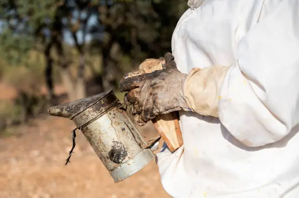 Beekeeper with smokepot at apiary outdoors, closeup