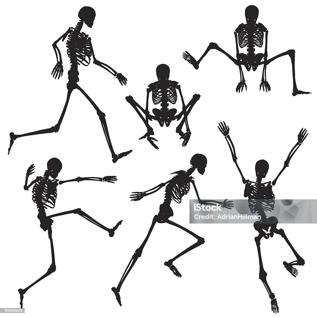 Active Skeleton Active Skeletons Stock Illustration - Download Image Now - Human ...