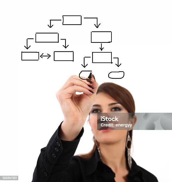Businesswoman With An Empty Diagram Stock Photo - Download Image Now - Organization, Adult, Adults Only