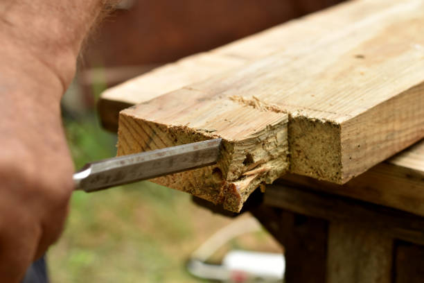 istock The working moment of the carpenter's work with a chisel with a board. 1503416697