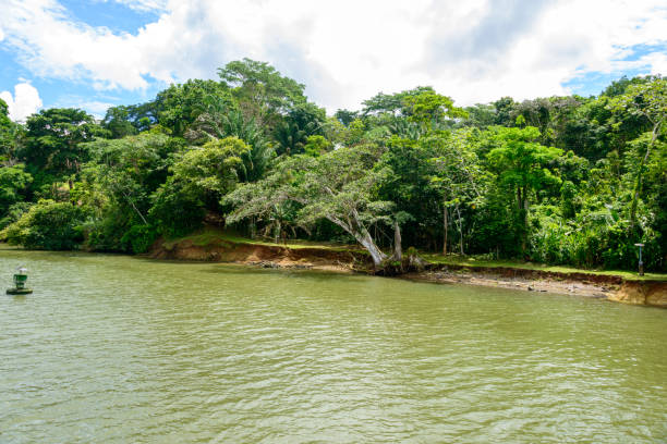 istock Culebra cut on the Panama Canal. 1503418146