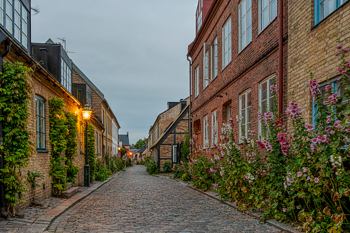 Hjortgatan is a scenic alley with hollyhocks in the old town of Lund at the blue hour, Lund, Sweden, July 17, 2022