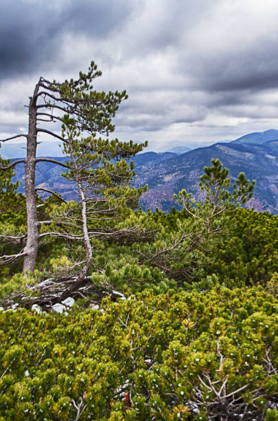 istock Mountains are a great trekking holiday 1503433930