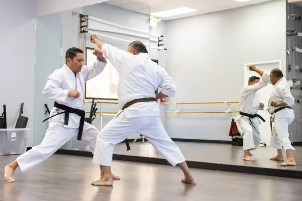 A  senior sensei teaching his senior student karate in a dojo.