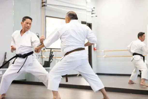 A  senior sensei teaching his senior student karate in a dojo.