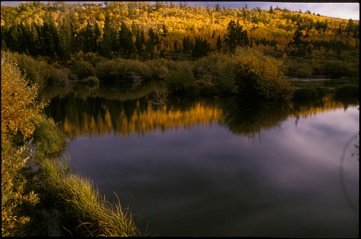 Beaver pond, fall foliage, South Pass, Fremont County, Wyoming.  Original shot on slide film, autumn 1996.