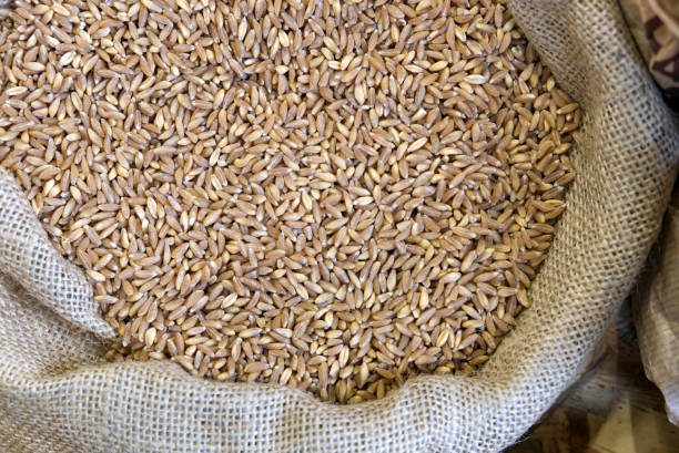 istock close-up of a burlap sack containing whole spelt 1503448434