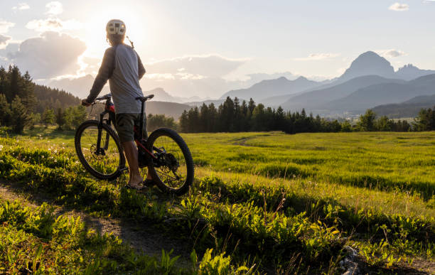 istock Male mountain biker follows mountain trail 1503451119