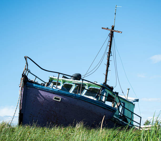 istock Wreck in Natashquan, Quebec, Canada 1503454424