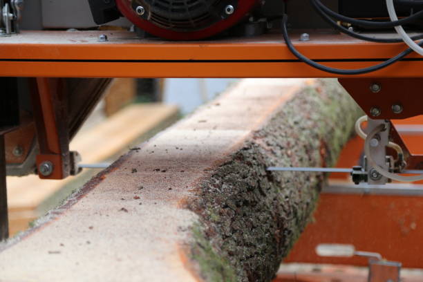 istock mobile sawmill in the wood industry 1503463356