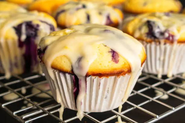 Freshly baked blueberry muffins on a wire rack viewed from the side