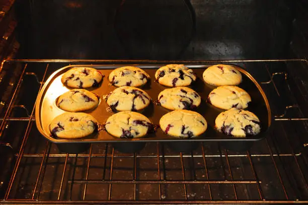 Freshly baked blueberry muffins in a muffin pan on an oven rack