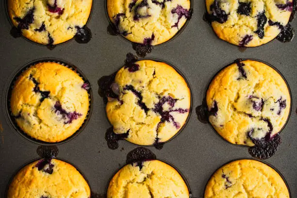 Freshly baked blueberry muffins in a muffin viewed from directly above