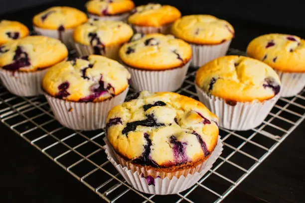 Freshly baked blueberry muffins on a wire rack viewed from above