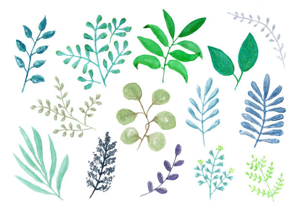 istock Set of handdrawn watercolor green leaves, branches 1503490486
