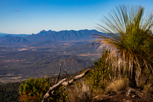 one of the most famous hikes on the mountain summit in australian mountains near gold coast and brisbane, queensland
