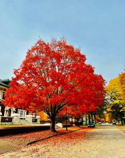 istock I love fall most of all 1503525041