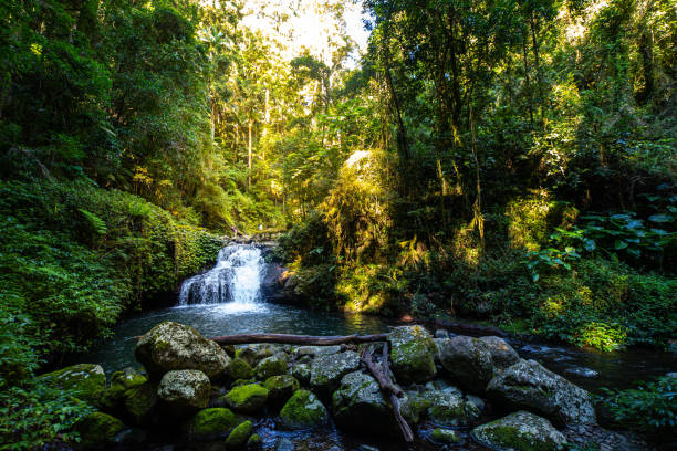 istock unique stunning powerful waterfalls spotted while hiking on West Canungra Creek Circuit at Lamington National Park 1503528394