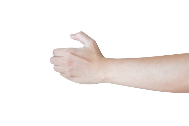 istock man hand gesture holding something isolated on white background 1503534000
