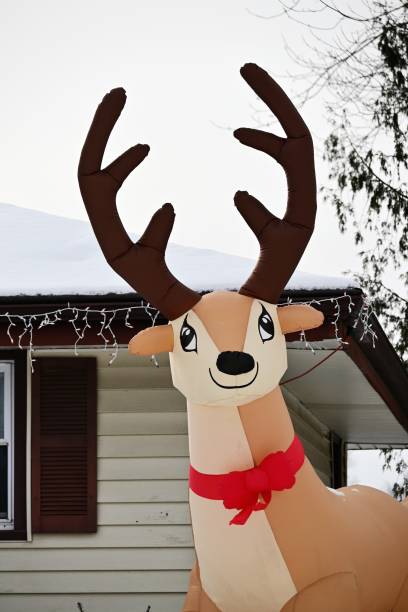 istock Inflated Reindeer Outdoors 1503544210