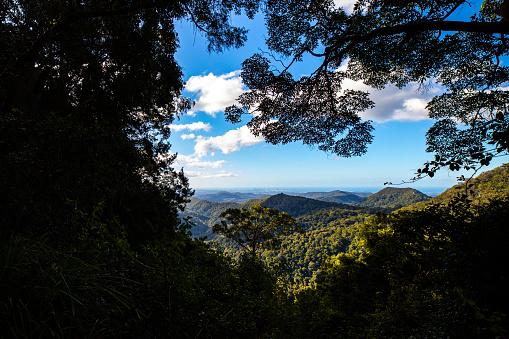 Springbrook National Park, a Gondwana heritage site, is a popular destination for birders and those who enjoy hiking. Here you can take amazing hikes overlooking the stunning mighty mountain ranges