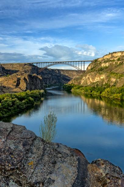 istock Viewing the majestic Snake River. 1503557108