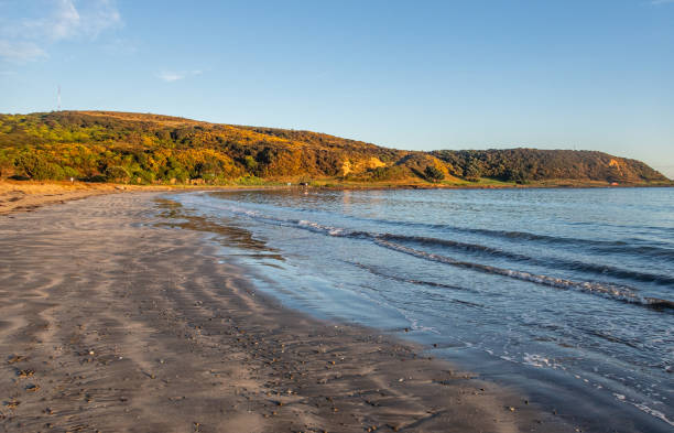 istock Early winter morning on the beach 1503624773