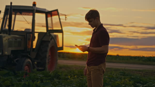 SLO MO  Young Farmer Texts amidst a Serene Agricultural Field at Sunset