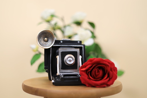 Vintage camera model with a rose