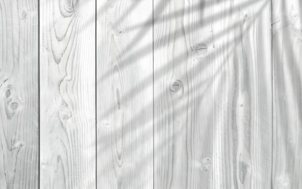 istock Silhouette, Shadow of palm leave on Light gray vertical striped wood grain table.  Background with copy space. 1503703681