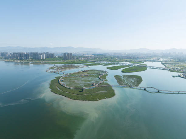 istock High angle view of Wetland Park 1503704413