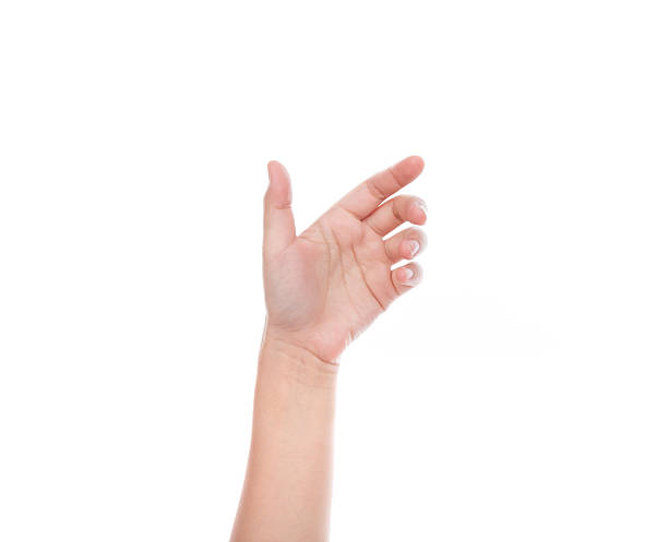 istock Hand of women to hold 150370719