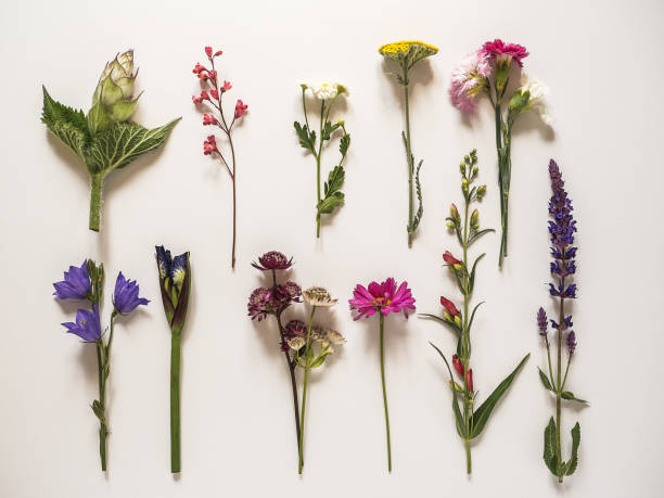 istock Bright flowers on the table. Closeup, view from above 1503707268