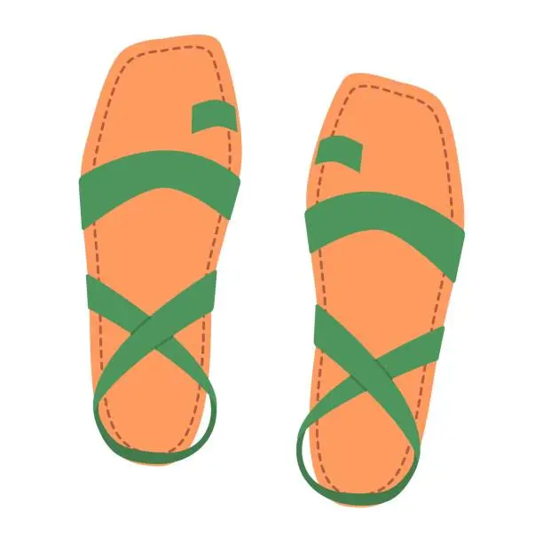 Vector illustration of summer shoes4