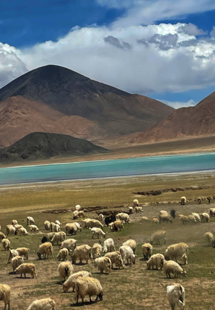 istock Humanistic Landscape of Tibet, China 1503709059
