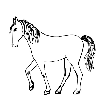 istock Simple black outline vector drawing. Horse in full growth, side view. Ranch, farm animals, barnyard. Sketch in ink. 1503711437