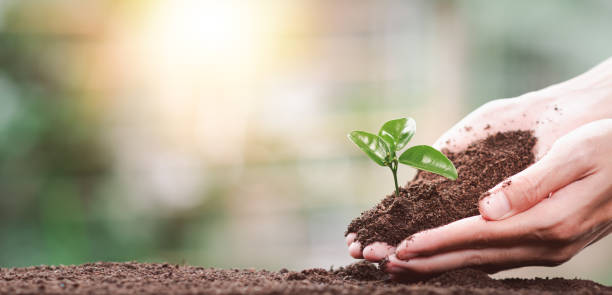 istock Planting trees reduce global warming,Prevention and treatment air pollution ,Environmental and Ecological Campaign ,Green energy innovation and environmentally friendly energy technology ,saving world 1503722351