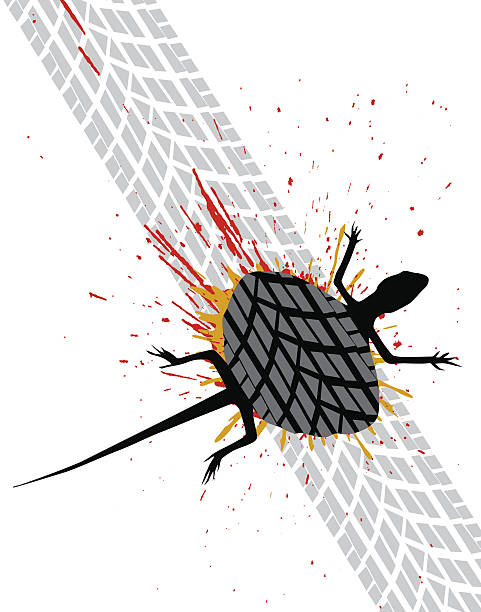 ilustraciones, imágenes clip art, dibujos animados e iconos de stock de roadkill - run over road lizard tire