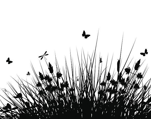 A meadow silhouette with butterflies in black and white Editable vector silhouette of grassy vegetation with wildlife. Hi-res jpeg file included. grass shoulder stock illustrations