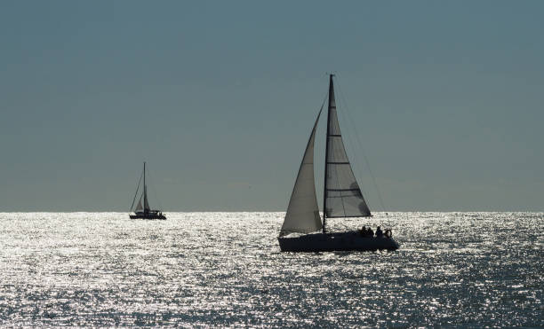 istock boat race on sea,  sailboat in sunset 1503751020