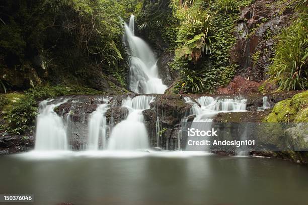 World Heritage Area Elabana Falls Stock Photo - Download Image Now - Australia, Beauty In Nature, Clean