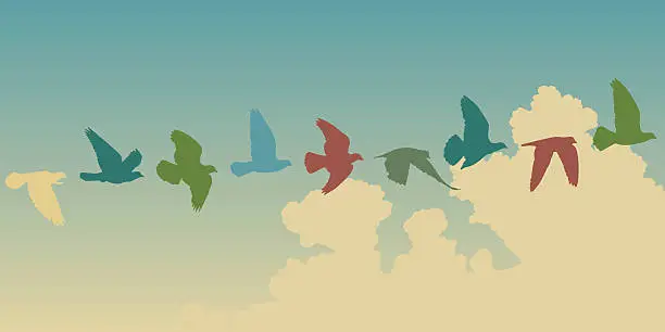 Vector illustration of Pigeon flight