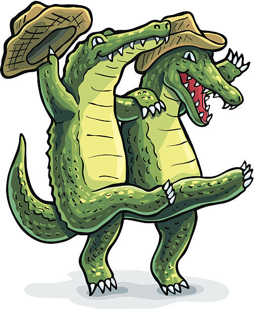 Dancing Gators Illustration of two dancing Alligators wearing Cowboy hats. alligator stock illustrations