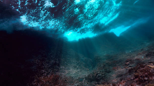 istock Wild underwater scenery and landscape 1503815797