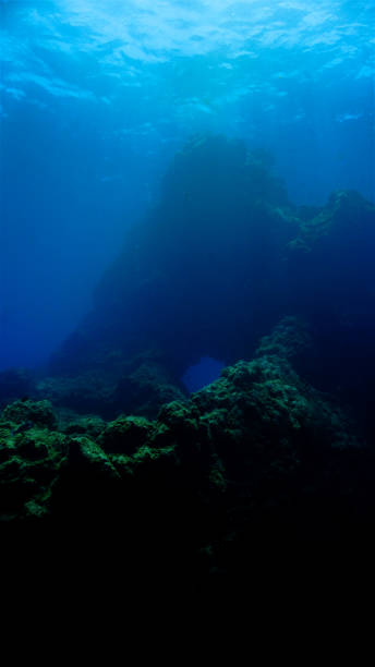 istock Underwater photo from yellow mountain 1503820335