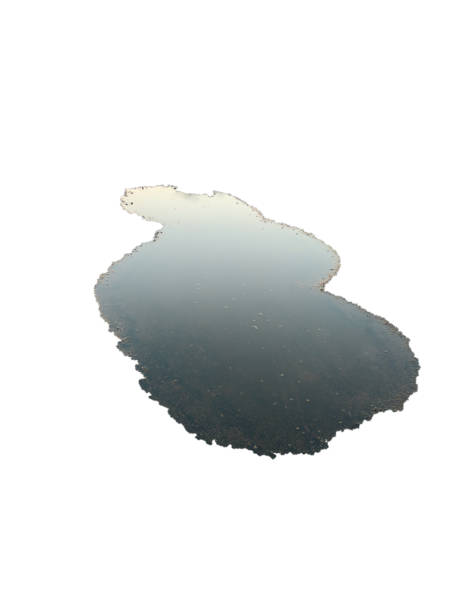 street puddle isolated on white background.